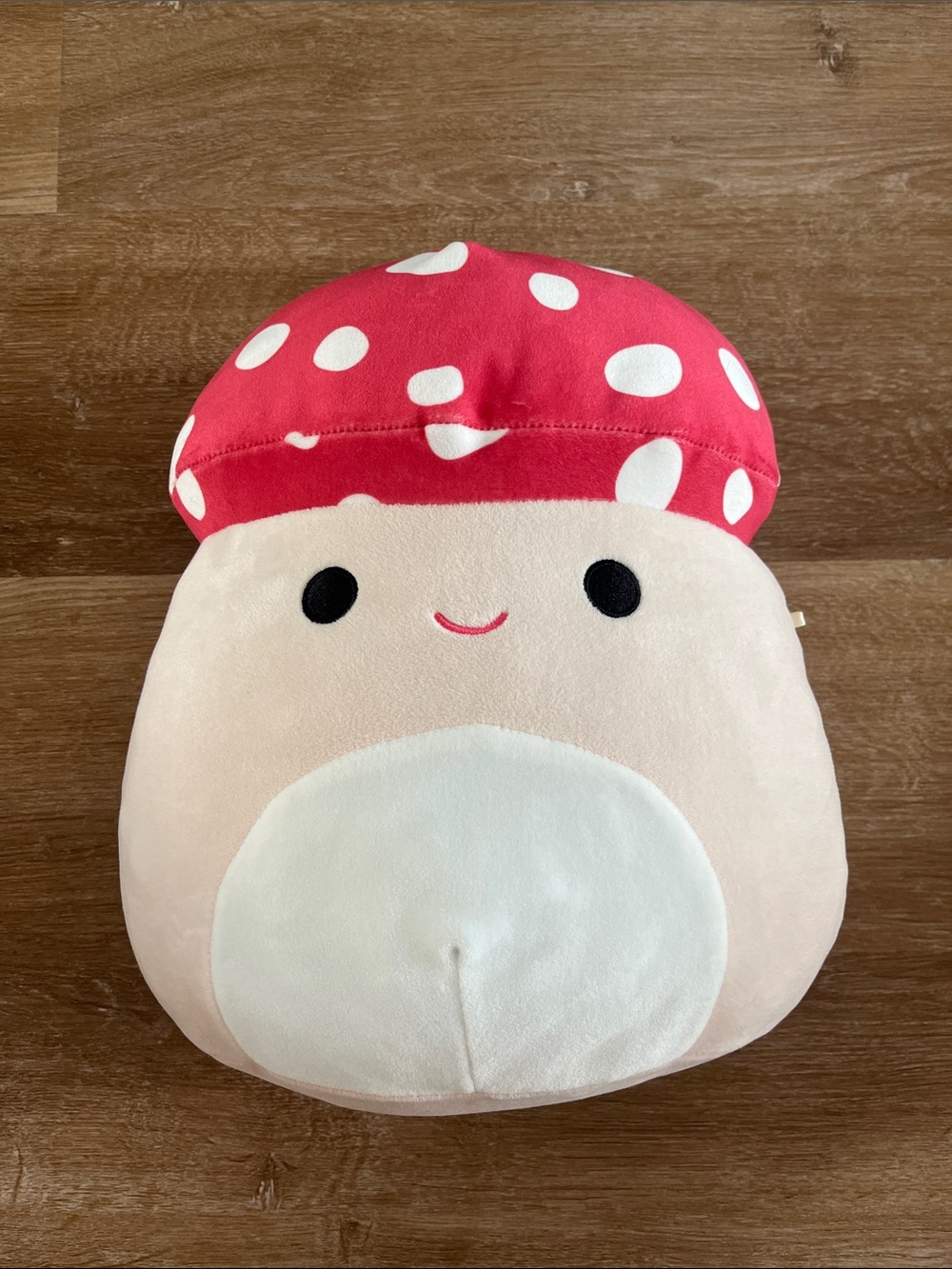 Squishmallows Malcolm the Mushroom Plush